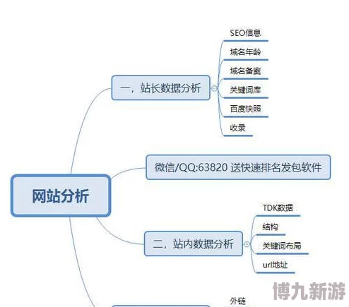 8008站长统计网站统计：全面分析网站流量与用户行为，提升优化策略与SEO效果的方法与技巧