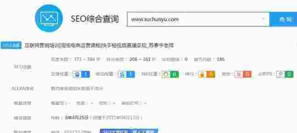 8008站长统计网站统计：全面分析网站流量与用户行为，提升优化策略与SEO效果的方法与技巧